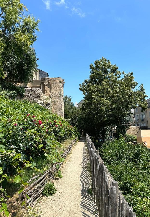 Appartement Vieux Mans ルマン エクステリア 写真